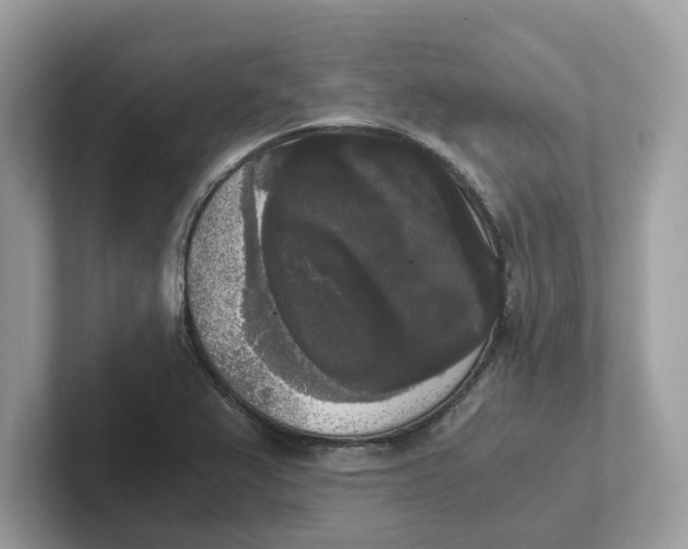 X0000101461367200807280951