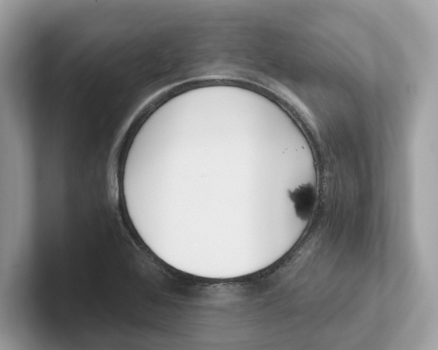 X0000101461368200807280951