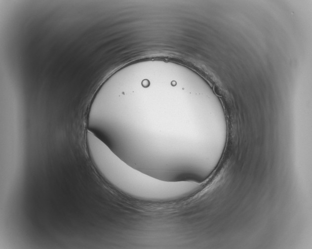 X0000101461369200807280951