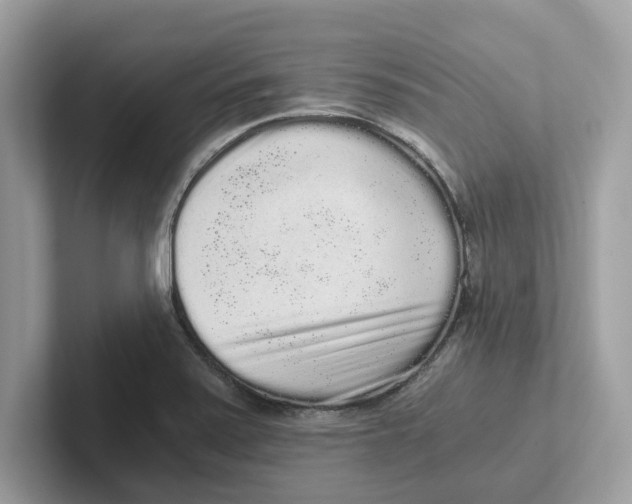 X0000101461371200807280951