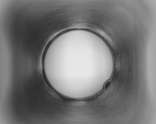 X0000101461372200807280951