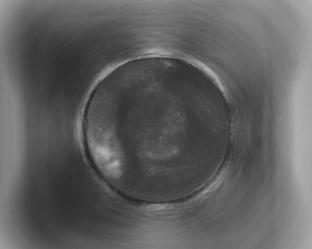 X0000101461373200807280951