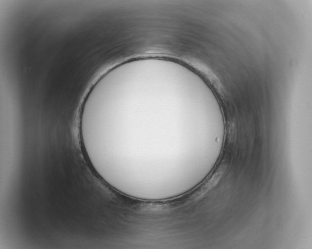 X0000101461374200807280951