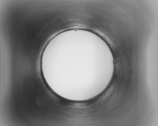 X0000101461375200807280951