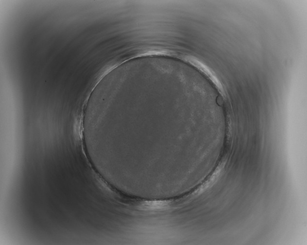 X0000101461377200807280951