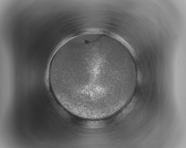 X0000101461378200807280951