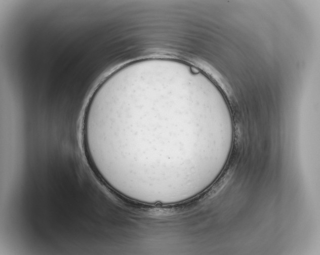 X0000101461379200807280951