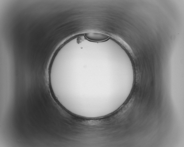 X0000101461380200807280951