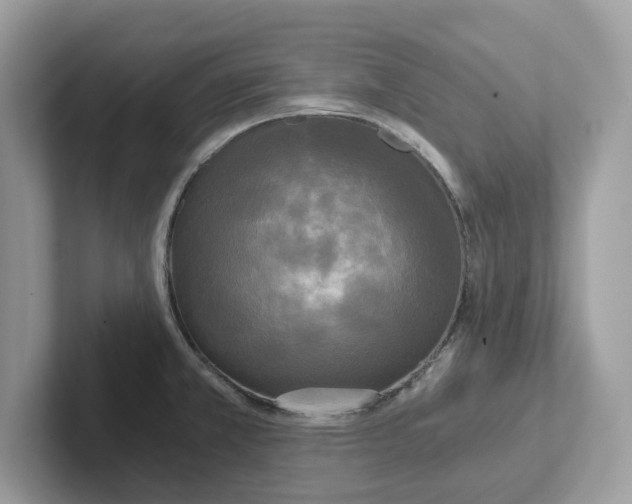 X0000101461381200807280951