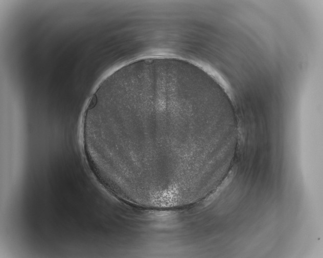 X0000101461382200807280951