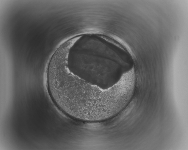 X0000101461383200807280951