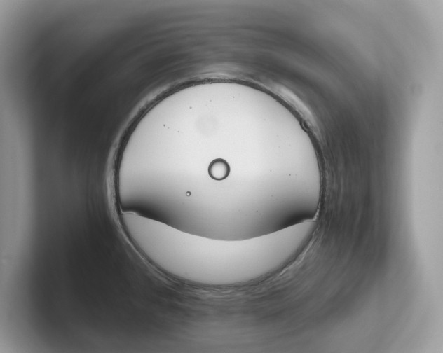 X0000101461384200807280950