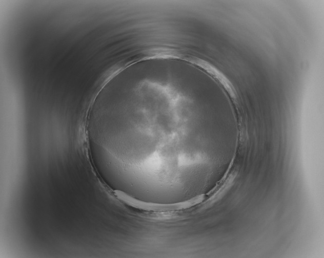 X0000101461385200807280950