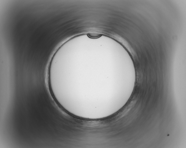 X0000101461387200807280950