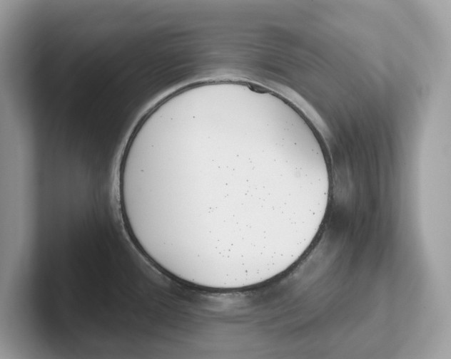 X0000101461388200807280950