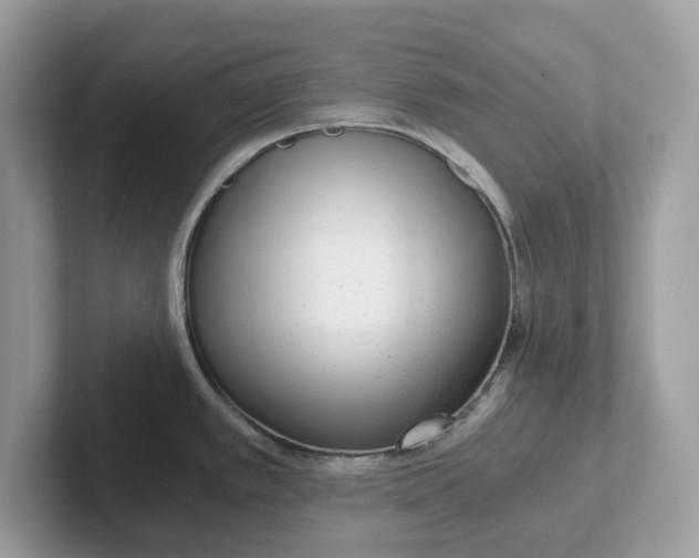 X0000101461389200807280950