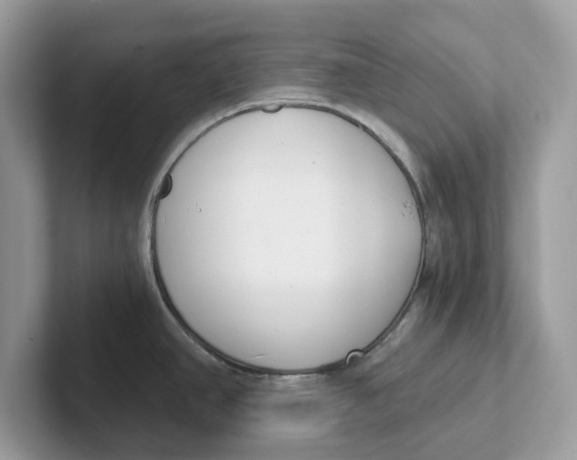 X0000101461390200807280950