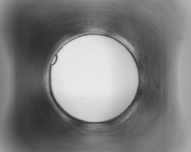 X0000101461391200807280950