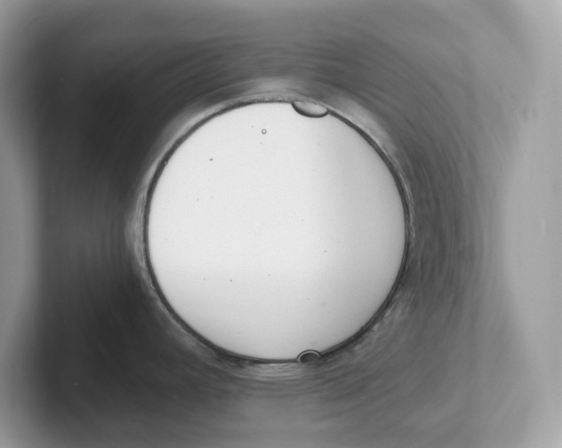 X0000101461392200807280950