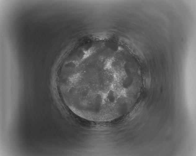 X0000101461393200807280950