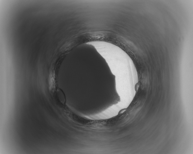 X0000101461394200807280950