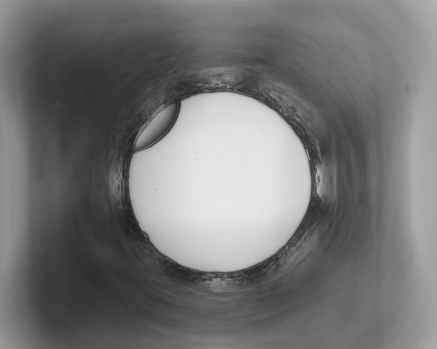 X0000101461395200807280950