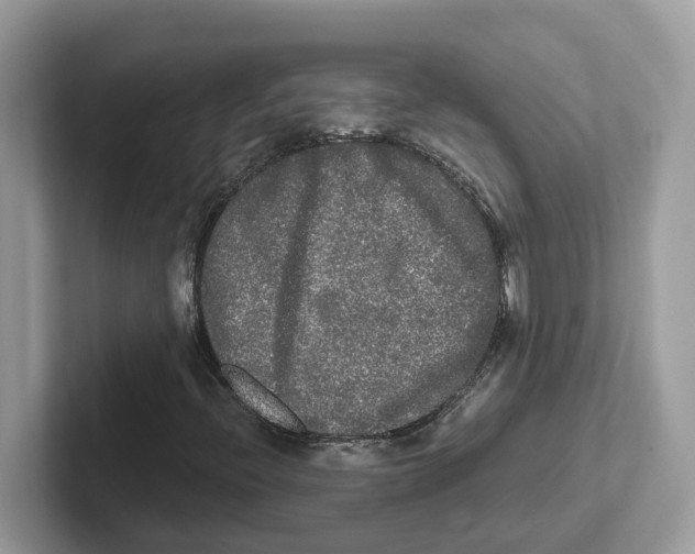 X0000101461396200807280950