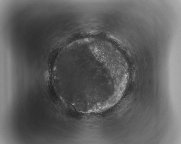 X0000101461397200807280950