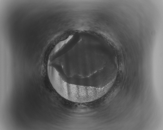 X0000101461398200807280950