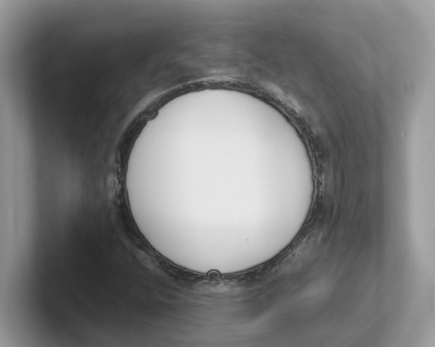 X0000101461400200807280950