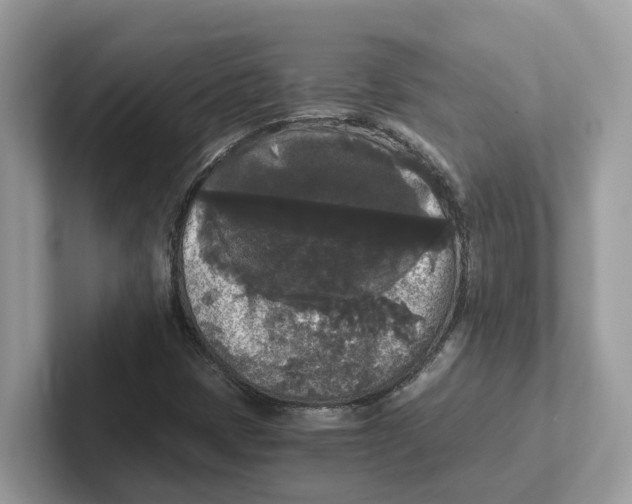 X0000101461401200807280950