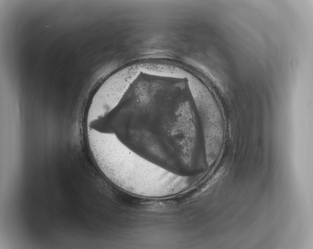 X0000101461405200807280950