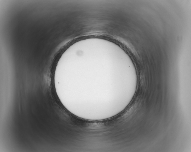 X0000101461406200807280950