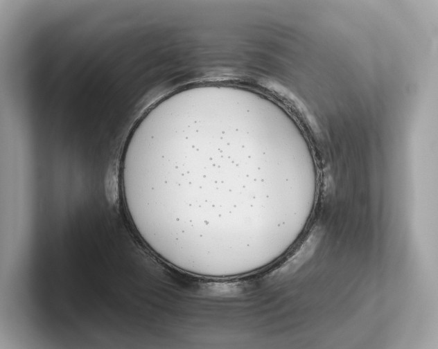 X0000101461409200807280950