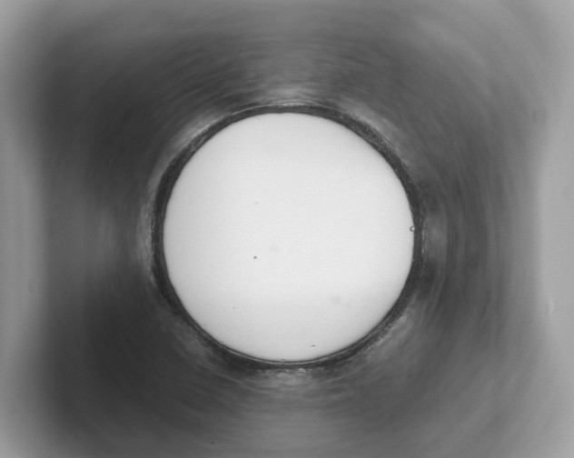 X0000101461410200807280950