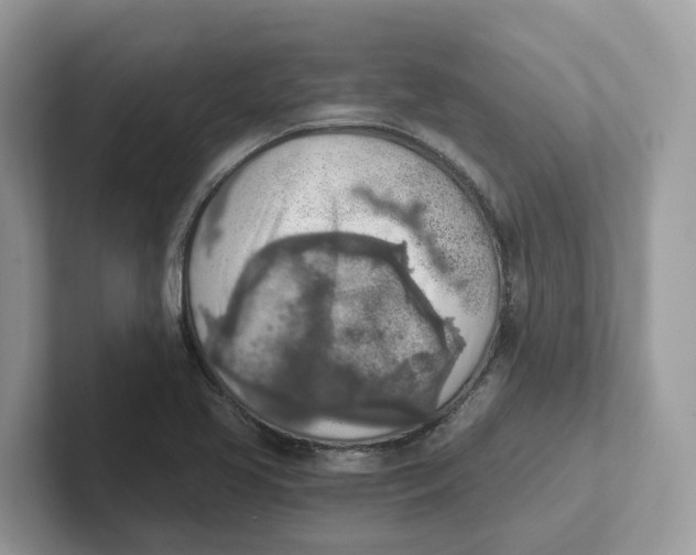 X0000101461413200807280950