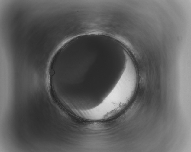 X0000101461414200807280950