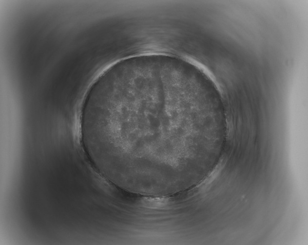 X0000101461415200807280950