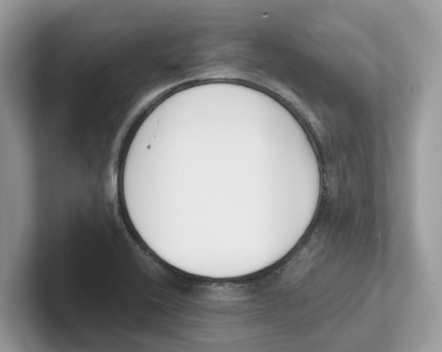 X0000101461416200807280950