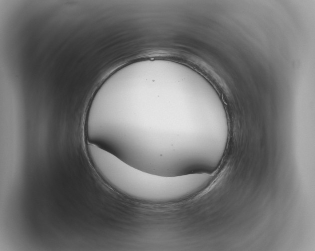 X0000101461417200807280950