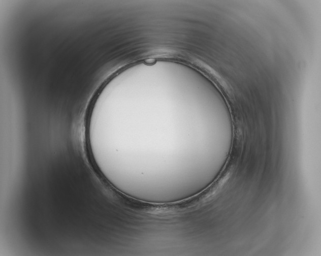 X0000101461418200807280950