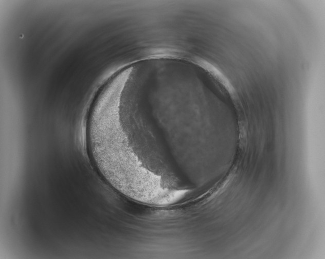 X0000101461419200807280950