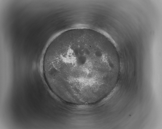 X0000101461421200807280950