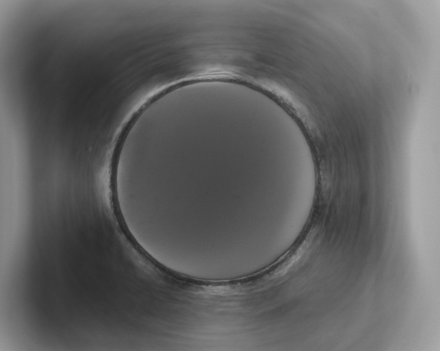 X0000101461422200807280950