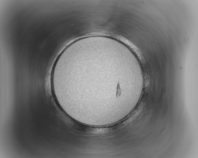 X0000101461423200807280950