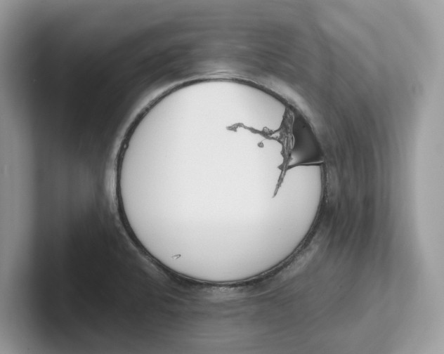 X0000101461424200807280950