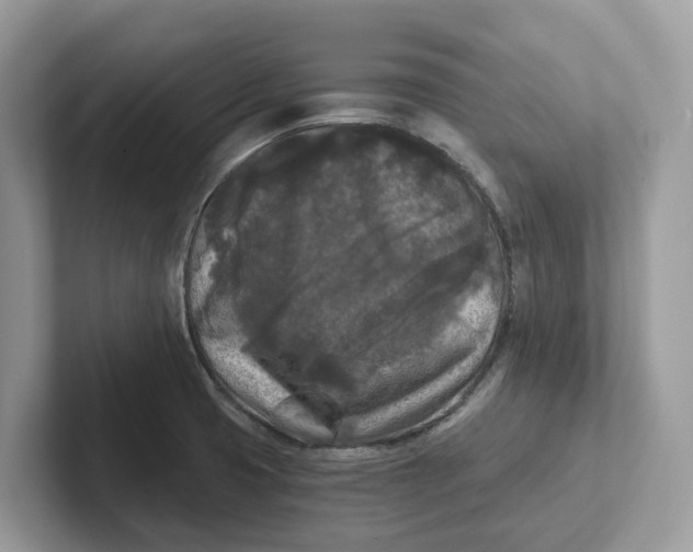 X0000101461425200807280950