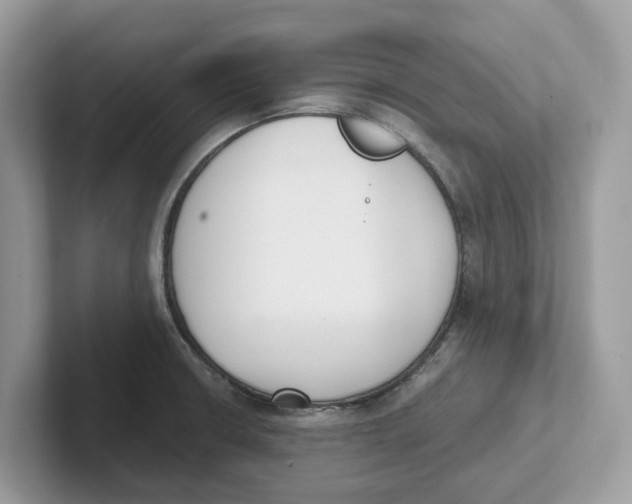 X0000101461426200807280950