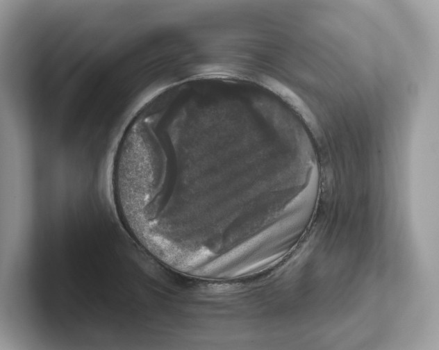 X0000101461427200807280950