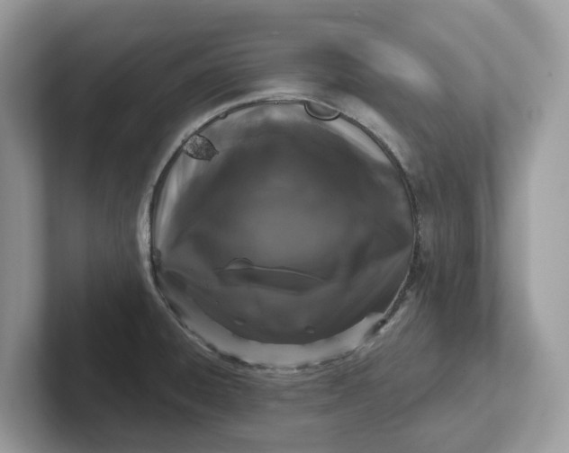 X0000101461428200807280950